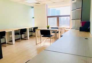 长宁区散尾葵租赁公司推荐